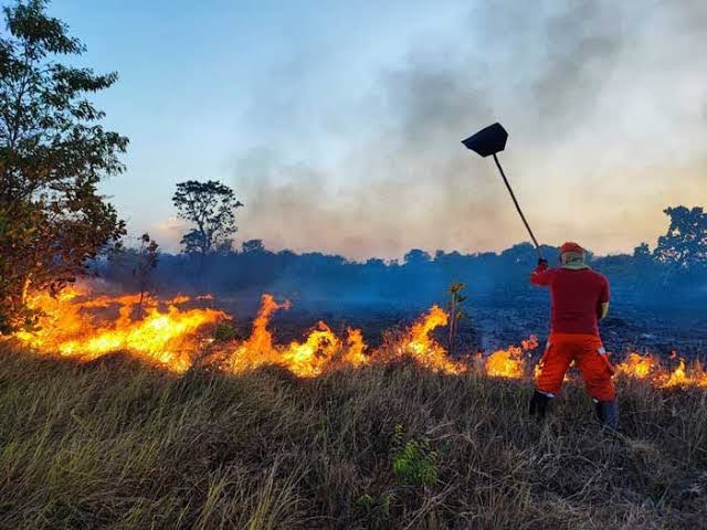 Amapá sofre com a maior onda de incêndios da história