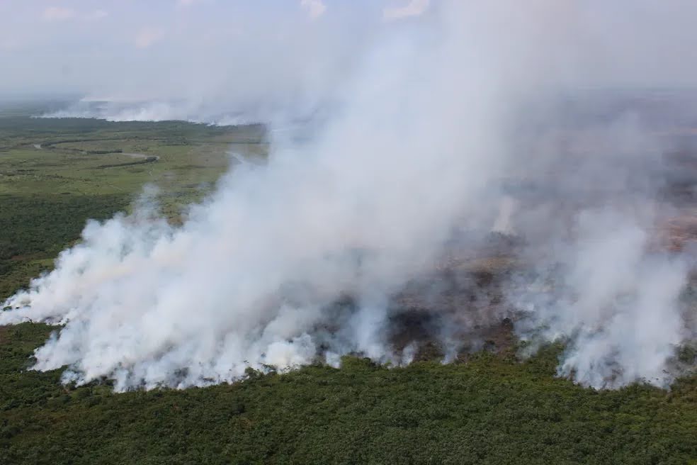 Incontrolável, incêndio na Reserva Biológica do Lago Piratuba já dura dez dias